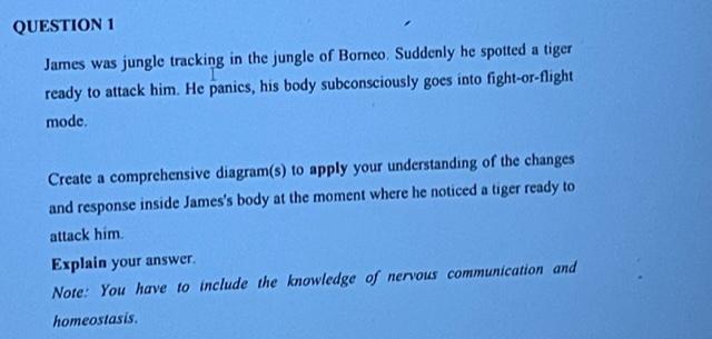 Question 1 James Was Jungle Tracking In The Jungle Of Borneo Suddenly He Spotted A Tiger Ready To Attack Him He Panics 1