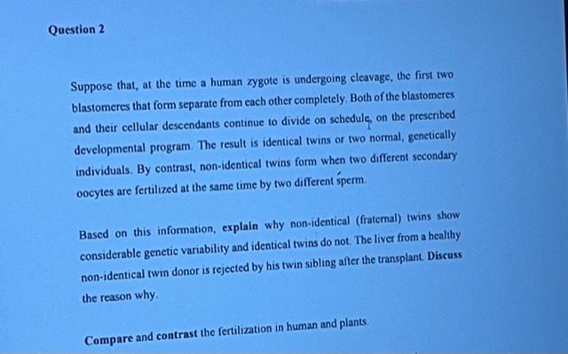 Question 2 Suppose That At The Time A Human Zygote Is Undergoing Cleavage The First Two Blastomeres That Form Separate 1