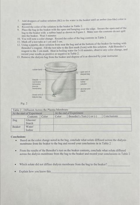 7 Add Droppers Of Iodine Solution Iki To The Water In The Beaker Until An Amber Tea Like Color Is Apparent 8 Recor 1