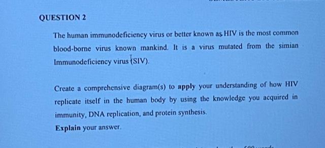 Question 2 The Human Immunodeficiency Virus Or Better Known As Hiv Is The Most Common Blood Borne Virus Known Mankind I 1