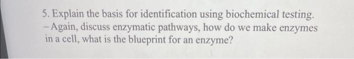 5 Explain The Basis For Identification Using Biochemical Testing Again Discuss Enzymatic Pathways How Do We Make E 1