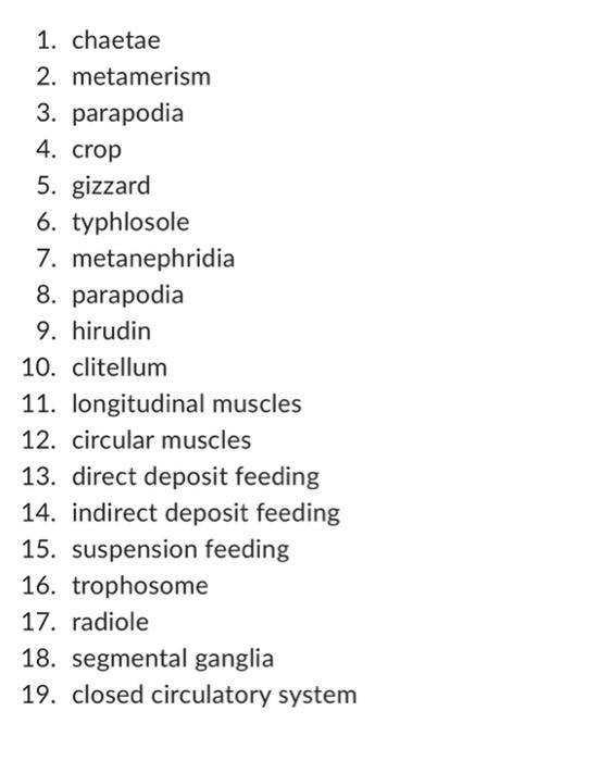 Draw A Concept Map Of Annelids By Using Following Terms Also Add Terms Too 1