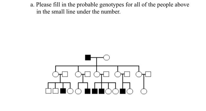 A Please Fill In The Probable Genotypes For All Of The People Above In The Small Line Under The Number Titk Ht 1