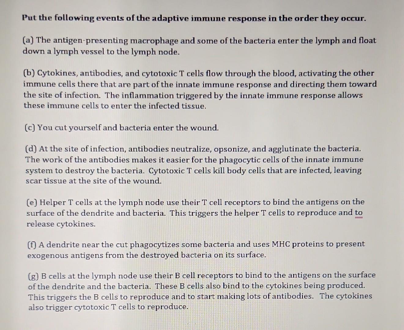 Put The Following Events Of The Adaptive Immune Response In The Order They Occur A The Antigen Presenting Macrophage 1