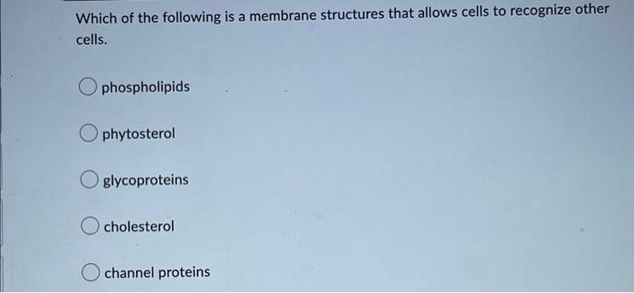 Which Of The Following Is A Membrane Structures That Allows Cells To Recognize Other Cells Phospholipids Ophytosterol G 1