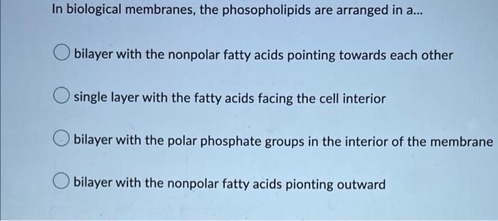 Which Of The Following Is A Membrane Structures That Allows Cells To Recognize Other Cells Phospholipids Ophytosterol G 2