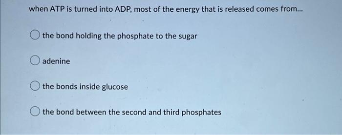 In An Endergonic Reaction The Chemical Reactants And Chemical Products Have Equal Energy The Reactants Have More Ener 2