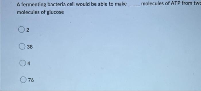 A Fermenting Bacteria Cell Would Be Able To Make Molecules Of Glucose 02 38 4 76 Molecules Of Atp From Two Atp Nadh A 1