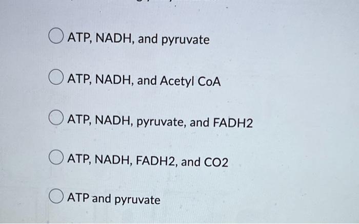 A Fermenting Bacteria Cell Would Be Able To Make Molecules Of Glucose 02 38 4 76 Molecules Of Atp From Two Atp Nadh A 2