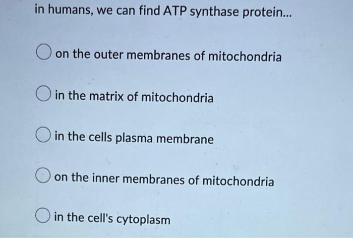In Humans We Can Find Atp Synthase Protein On The Outer Membranes Of Mitochondria In The Matrix Of Mitochondria In T 1