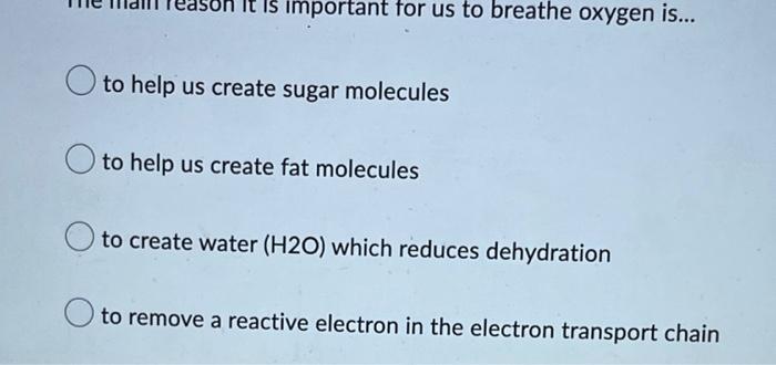 In Humans We Can Find Atp Synthase Protein On The Outer Membranes Of Mitochondria In The Matrix Of Mitochondria In T 2