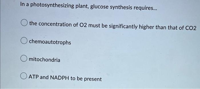 Which Of The Following Is Not A Possible Product Of Fermentation Olactic Acid O Pyruvate O Carbon Dioxide O Ethanol In 2