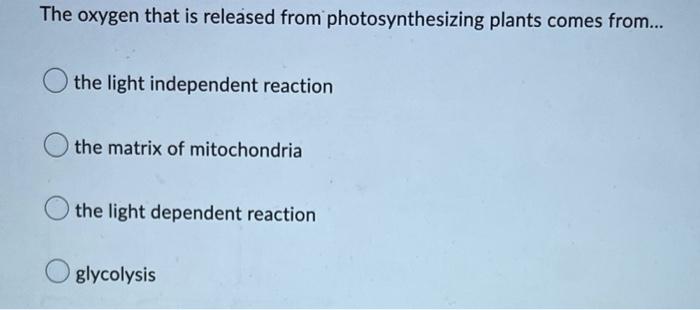 Which Of The Following Is Not A Possible Product Of Fermentation Olactic Acid O Pyruvate O Carbon Dioxide O Ethanol In 3