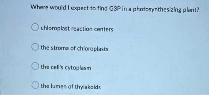 Where Would I Expect To Find G3p In A Photosynthesizing Plant Chloroplast Reaction Centers The Stroma Of Chloroplasts T 1