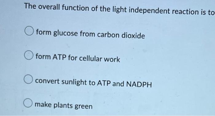 The Overall Function Of The Light Independent Reaction Is To Form Glucose From Carbon Dioxide Form Atp For Cellular Work 1