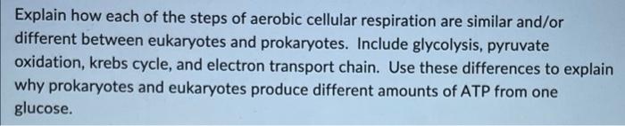 Explain How Each Of The Steps Of Aerobic Cellular Respiration Are Similar And Or Different Between Eukaryotes And Prokar 1