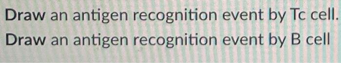 Draw An Antigen Recognition Draw An Antigen Recognition Event By Tc Cell Event By B Cell 1