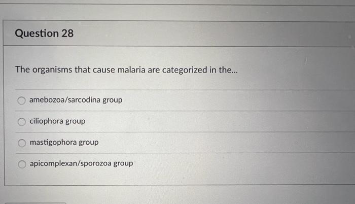 Question 28 The Organisms That Cause Malaria Are Categorized In The Amebozoa Sarcodina Group Ciliophora Group Mastigo 1