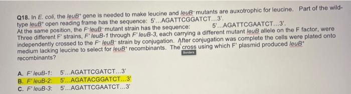 5 Agattcgaatct 3 Q18 In E Coli The Leub Gene Is Needed To Make Leucine And Leub Mutants Are Auxotrophic For Le 1