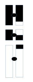 What Stages Are Shown Meiosis 1 Meiosis 2 Mitosis Paternal Information Is Black Maternal Information Is White 1