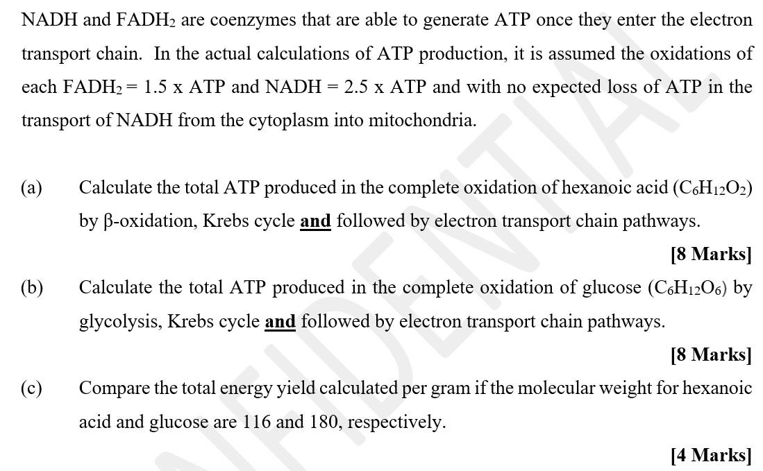 Nadh And Fadh Are Coenzymes That Are Able To Generate Atp Once They Enter The Electron Transport Chain In The Actual C 1
