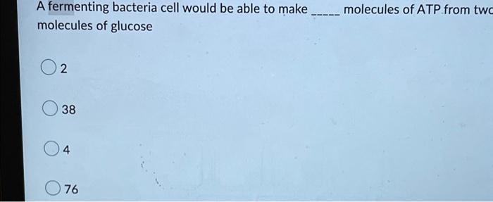 A Fermenting Bacteria Cell Would Be Able To Make Molecules Of Atp From Two Molecules Of Glucose 2 38 4 076 1
