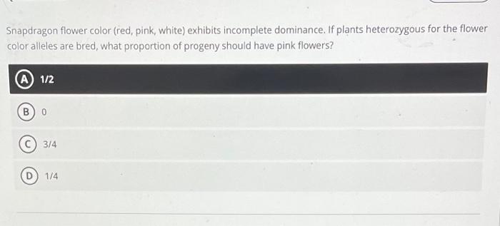 Snapdragon Flower Color Red Pink White Exhibits Incomplete Dominance If Plants Heterozygous For The Flower Color Al 1