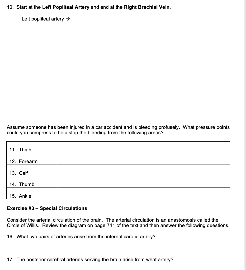 Exercise 2 Blood Vessel Mapping For Questions 9 And 10 Of The Lab Assignment You Will Pretend That You Are A Red Blo 2