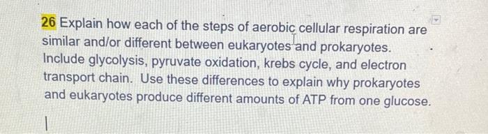 26 Explain How Each Of The Steps Of Aerobic Cellular Respiration Are Similar And Or Different Between Eukaryotes And Pro 1