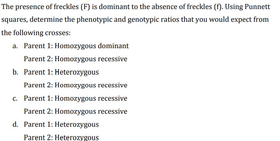 The Presence Of Freckles F Is Dominant To The Absence Of Freckles F Using Punnett Squares Determine The Phenotypic 1