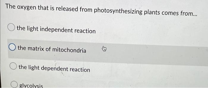 The Oxygen That Is Released From Photosynthesizing Plants Comes From The Light Independent Reaction The Matrix Of Mit 1