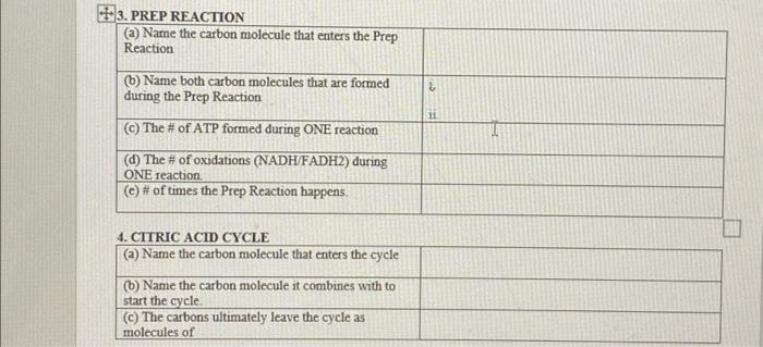 3 Prep Reaction A Name The Carbon Molecule That Enters The Prep Reaction B Name Both Carbon Molecules That Are Form 1