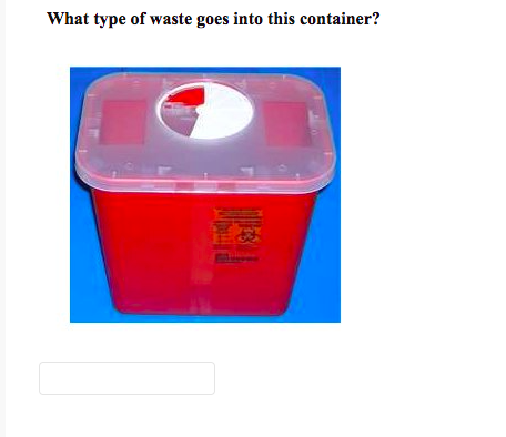 What Type Of Waste Goes Into This Container Name This Type Of Hyphae 1