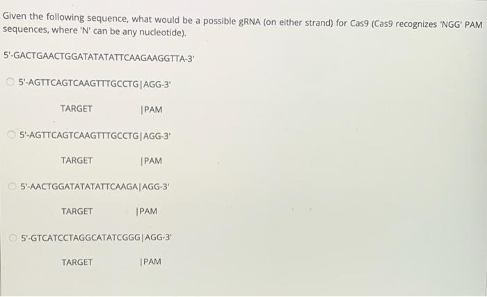 Given The Following Sequence What Would Be A Possible Grna On Either Strand For Cas9 Cas9 Recognizes Ngg Pam Seque 1