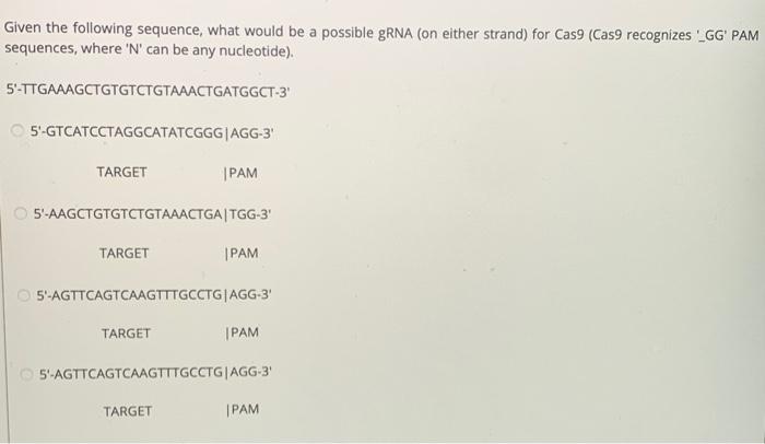 Given The Following Sequence What Would Be A Possible Grna On Either Strand For Cas9 Cas9 Recognizes Ngg Pam Seque 2