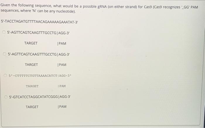Given The Following Sequence What Would Be A Possible Grna On Either Strand For Cas9 Cas9 Recognizes Ngg Pam Seque 3