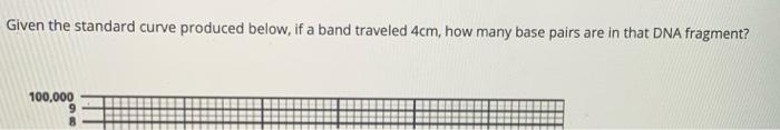 Given The Standard Curve Produced Below If A Band Traveled 1cm How Many Base Pairs Are In That Dna Fragment 100 000 3