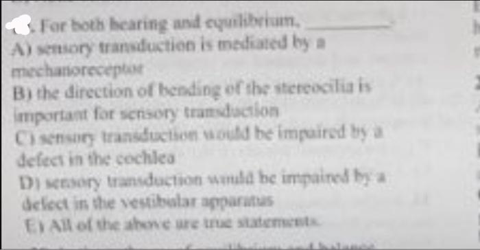 For Both Hearing And Equilibrium A Sensory Transduction Is Mediated By A Mechanoreceptor B The Direction Of Bending O 1