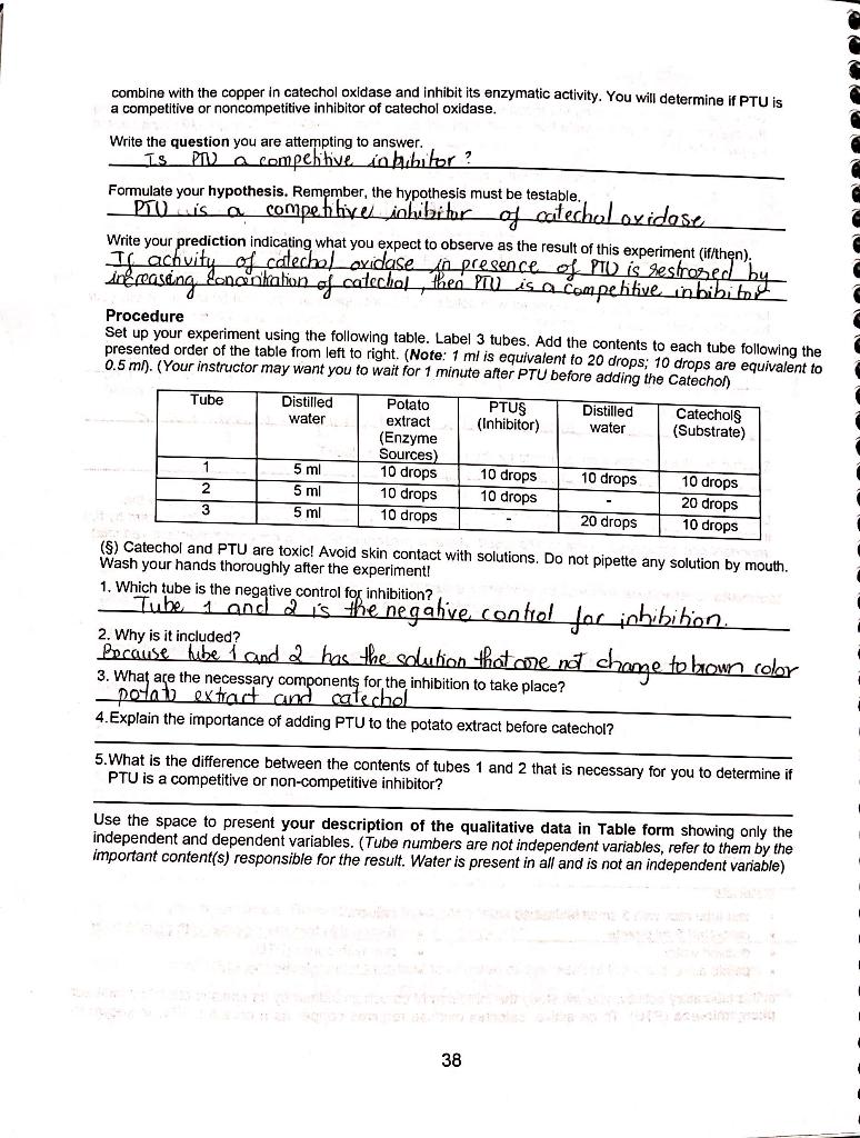 Combine With The Copper In Catechol Oxidase And Inhibit Its Enzymatic Activity You Will Determine If Ptu Is A Competiti 1