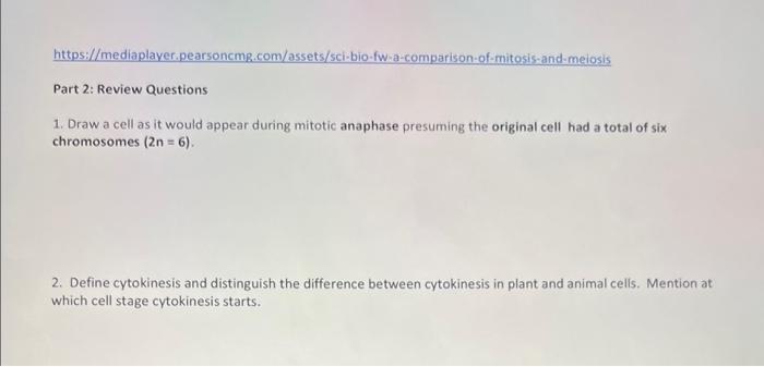 Https Mediaplayer Pearsoncmg Com Assets Sci Bio Fw A Comparison Of Mitosis And Meiosis Part 2 Review Questions 1 Dra 1
