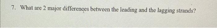 2 What Are Chargaff S Rules And How Do They Relate To The Function Of Dna 7 What Are 2 Major Differences Between Th 2