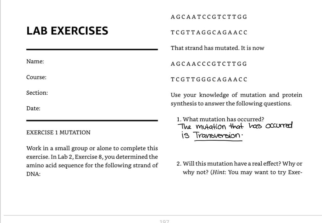 Lab 4 Exercise 1 Mutation Hint Question 2 Refer To Amino Acids Chart On Pg 51 To Answer This Question Please Help Me 1
