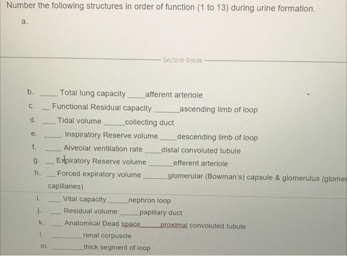 Number The Following Structures In Order Of Function 1 To 13 During Urine Formation A B E C D E F 9 H 1 K 1 1