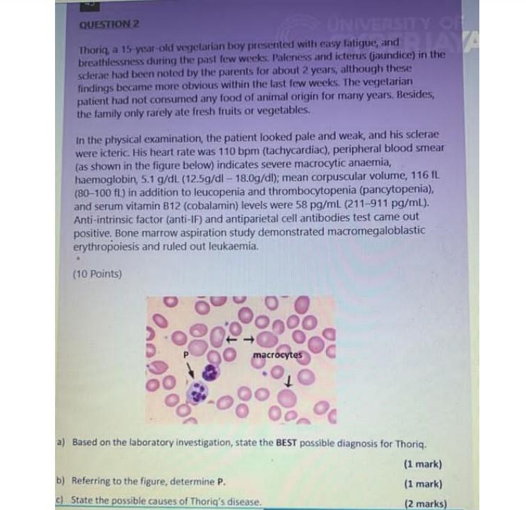 Question 2 Thoriq A 15 Year Old Vegetarian Boy Presented With Easy Fatigue And Breathlessness During The Past Few Week 1