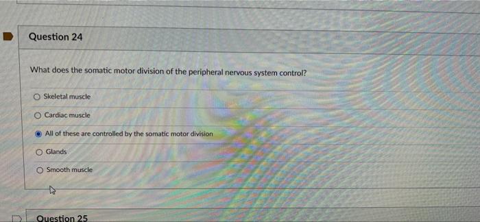 Question 24 What Does The Somatic Motor Division Of The Peripheral Nervous System Control O Skeletal Muscle O Cardiac M 1