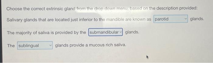 Choose The Correct Extrinsic Gland From The Drop Down Menu Based On The Description Provided Glands Salivary Glands 1