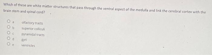 Which Of These Are White Matter Structures That Pass Through The Ventral Aspect Of The Medulla And Link The Cerebral Cor 1
