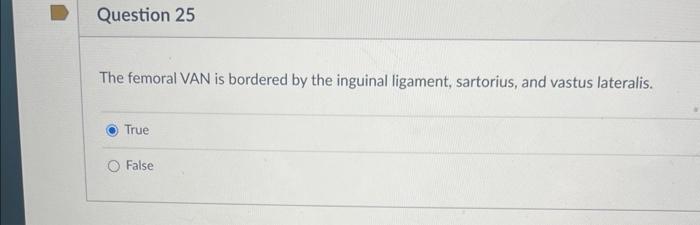 Question 25 The Femoral Van Is Bordered By The Inguinal Ligament Sartorius And Vastus Lateralis True O False 1