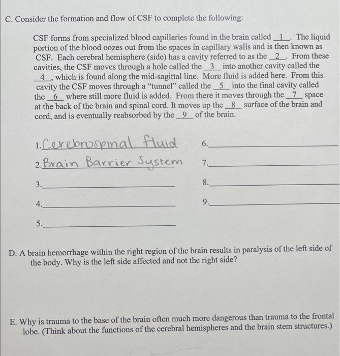 C Consider The Formation And Flow Of Csf To Complete The Following Csf Forms From Specialized Blood Capillaries Found 1
