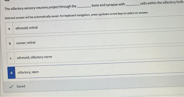 The Olfactory Sensory Neurons Project Through The Bone And Synapse With Selected Answer Will Be Automatically Saved Fo 1